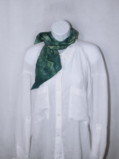 Eco Dye Scarf #3